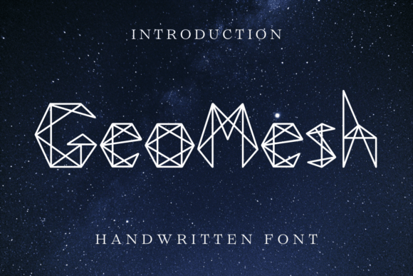 Geomesh: A Bold Creative Choice